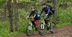 bike in the forest